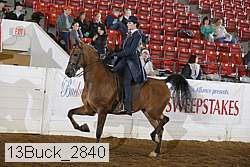 13buck_2840 proof