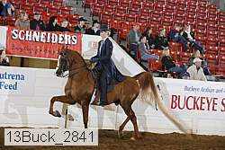 13buck_2841 proof