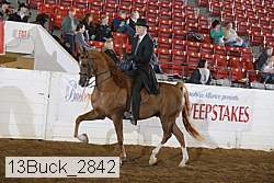13buck_2842 proof