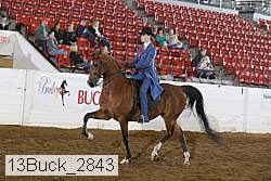 13buck_2843 proof