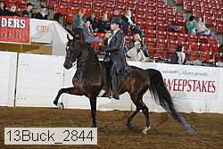 13buck_2844 proof