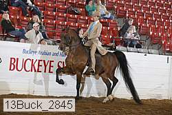 13buck_2845 proof