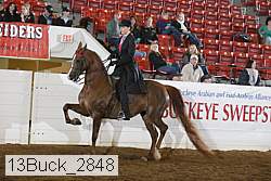 13buck_2848 proof