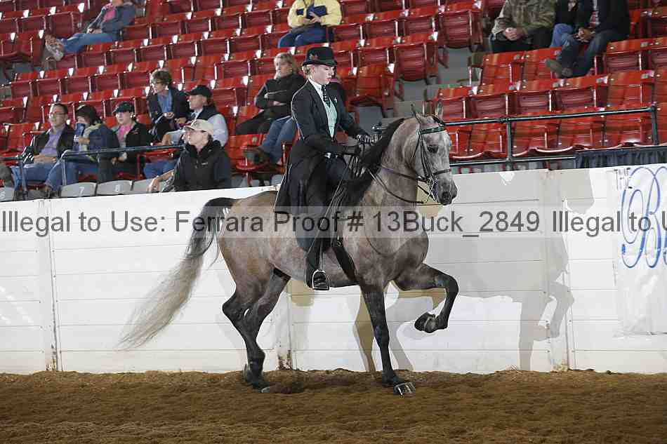 Proof 13buck_2849
