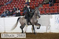 13buck_2849 proof