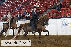 13buck_2850 proof