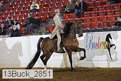 13buck_2851 proof