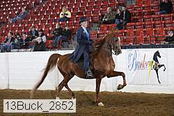 13buck_2852 proof
