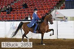13buck_2853 proof