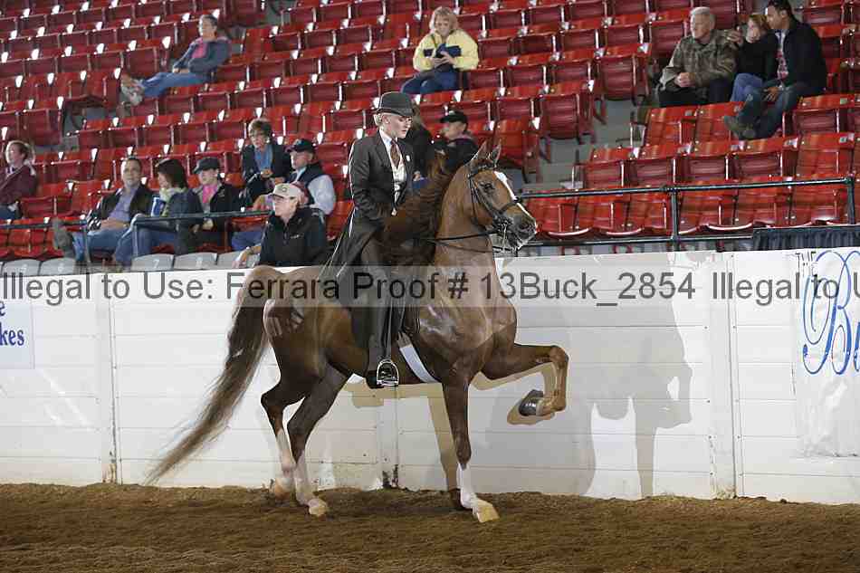Proof 13buck_2854