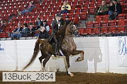 13buck_2854 proof