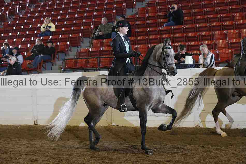 Proof 13buck_2855