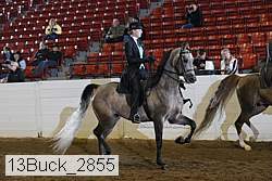 13buck_2855 proof