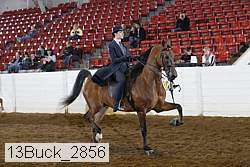 13buck_2856 proof