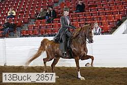 13buck_2857 proof