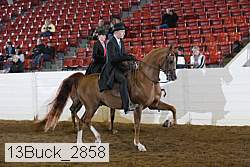 13buck_2858 proof