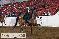 13buck_2859 proof