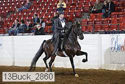 13buck_2860 proof