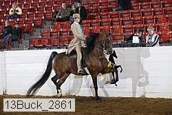 13buck_2861 proof