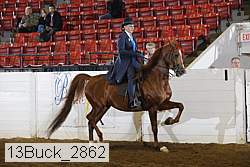 13buck_2862 proof
