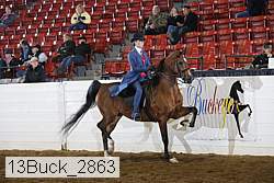 13buck_2863 proof