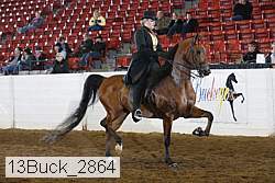 13buck_2864 proof