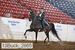 13buck_2865 proof
