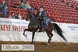 13buck_2866 proof