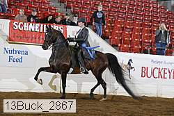 13buck_2867 proof