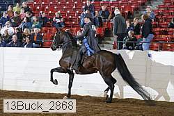 13buck_2868 proof