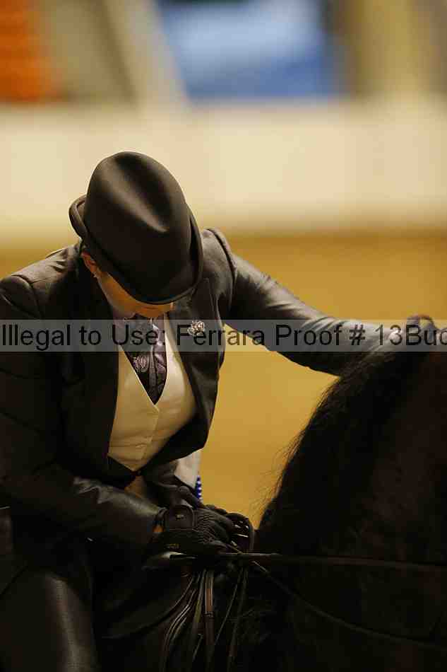 Proof 13buck_2874