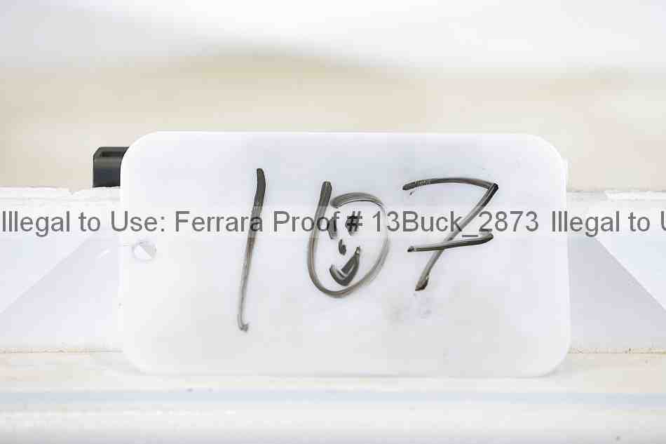 Proof 13buck_2873