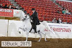 13buck_2875 proof