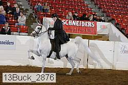 13buck_2876 proof
