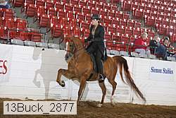 13buck_2877 proof