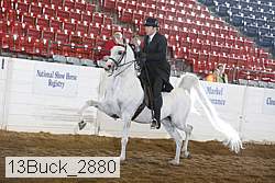 13buck_2880 proof
