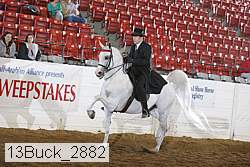 13buck_2882 proof