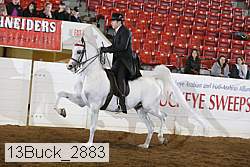 13buck_2883 proof