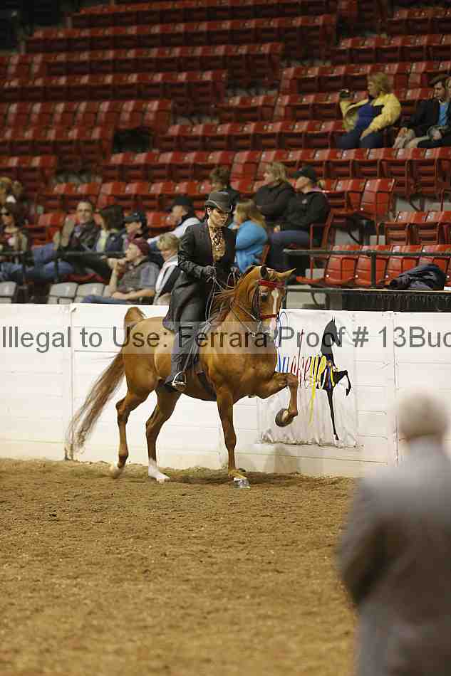Proof 13buck_2888