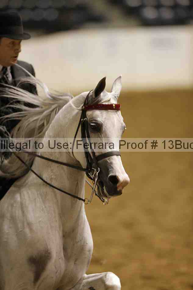 Proof 13buck_2893