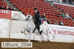 13buck_2894 proof