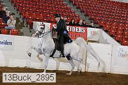 13buck_2895 proof