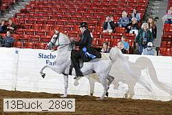 13buck_2896 proof