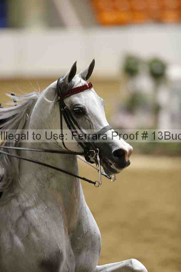 Proof 13buck_2898
