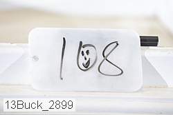 13buck_2899 proof