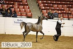 13buck_2900 proof