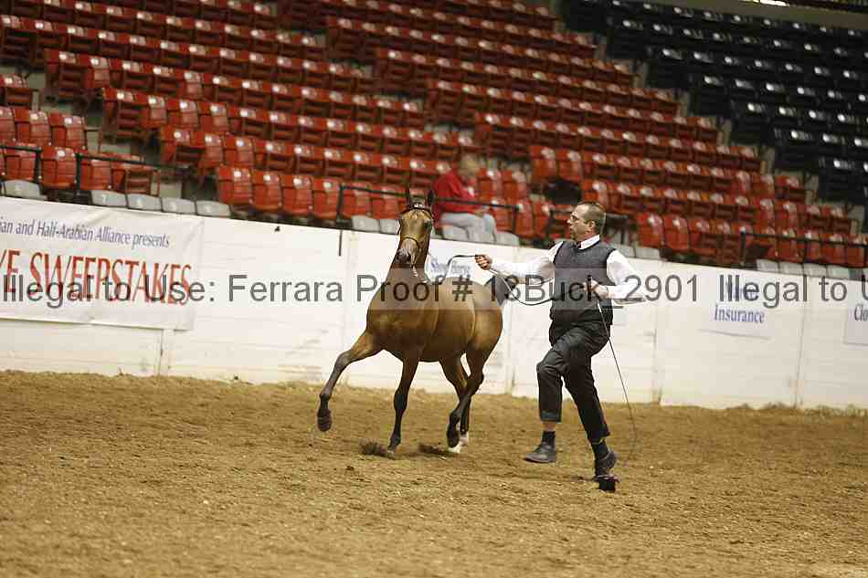 Proof 13buck_2901