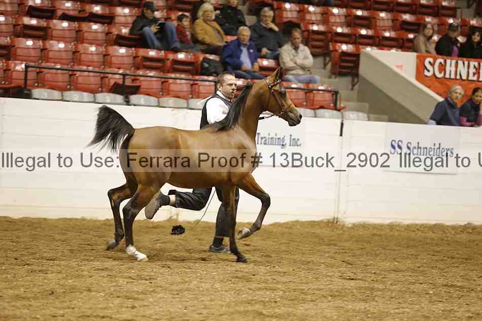 Proof 13buck_2902