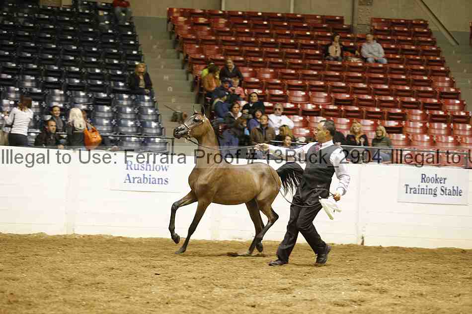 Proof 13buck_2904