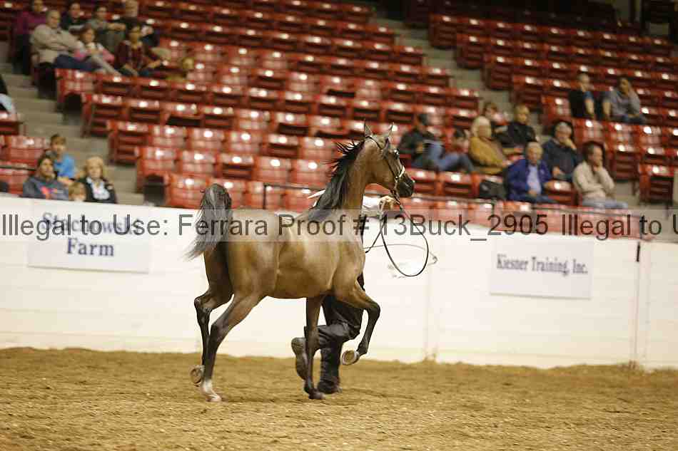 Proof 13buck_2905